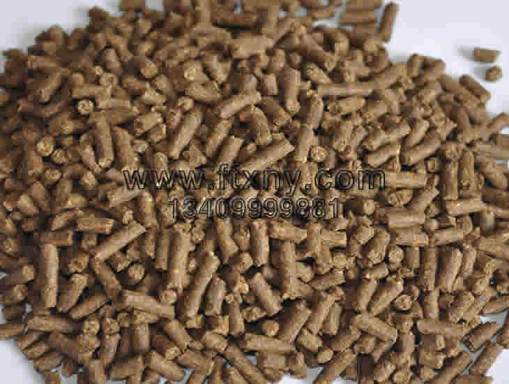 ���i�w�����