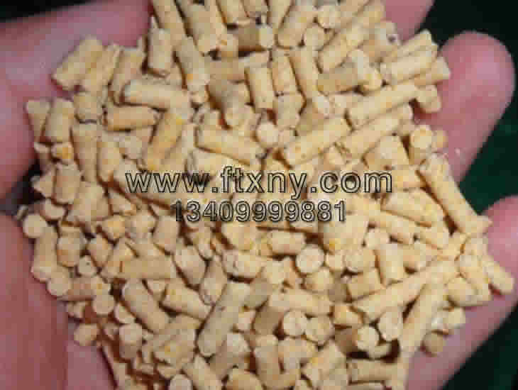 ���׶����w�����