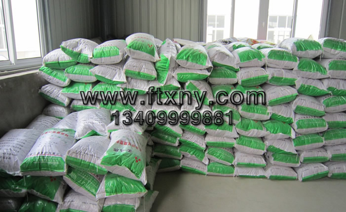 ľм�����|(zh��)�w��ȼ��