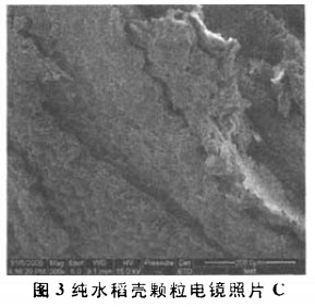 �����w���C(j��)