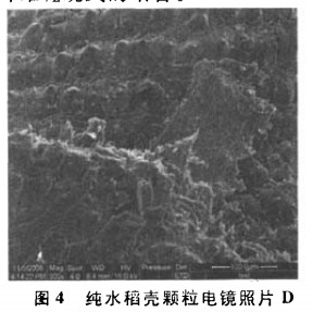 �����w���C(j��)