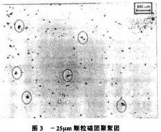 ���(d��ng)�Y�LͲ�Y