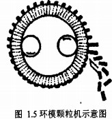 �w���C(j��)�����C(j��)