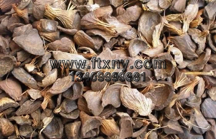 �ؙ��������|(zh��)�w��ȼ�����a(ch��n)ԭ��