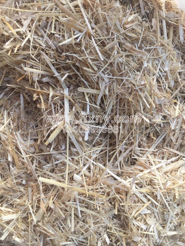 �JȔ�ն��w��ȼ��