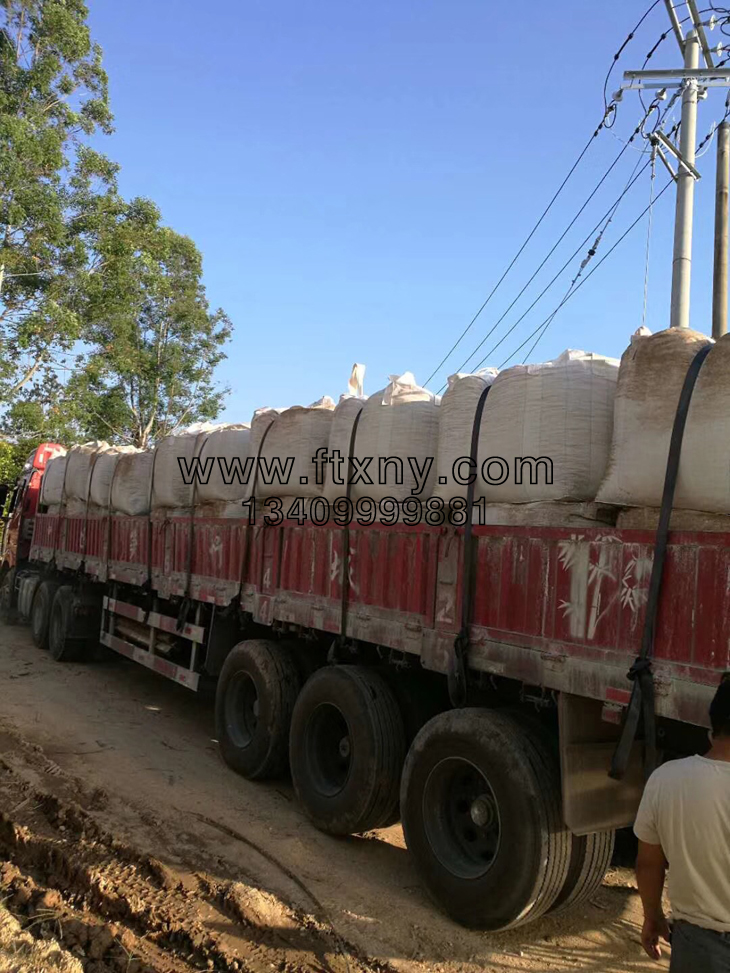 �����|(zh��)�w��ȼ��