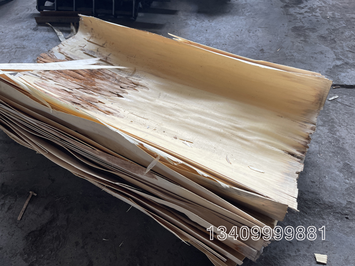 �ȴ������ľ�İ�Ƥ����