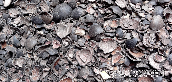 ɏ���⚤�ӹ������|(zh��)�w��ȼ��