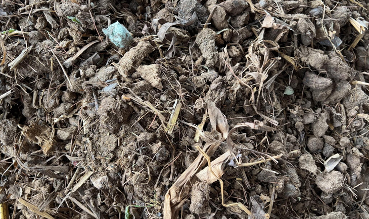 �ȴ�ţ�S���K�C(j��)�ӹ���ԭ��