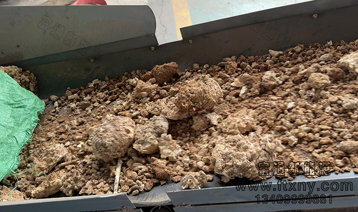 ����о���Kȼ��