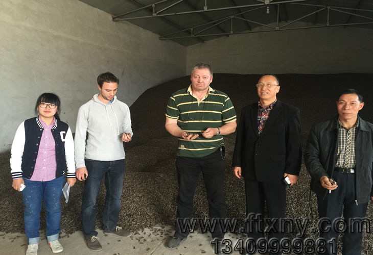 �����r(sh��)ľм�w���C(j��)�͑��������a(ch��n)��