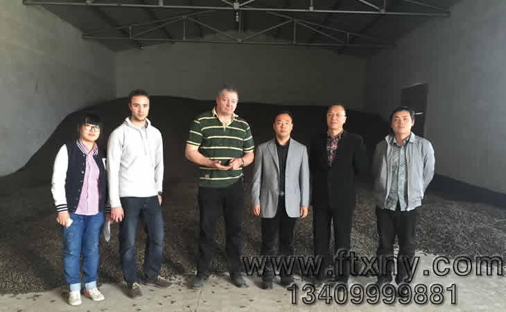 �����r(sh��)ľм�w���C(j��)�͑��������a(ch��n)��