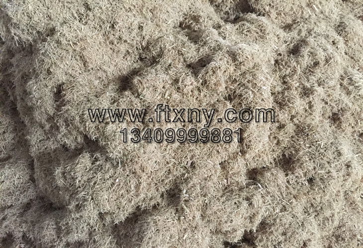 �ն�����C(j��)����������