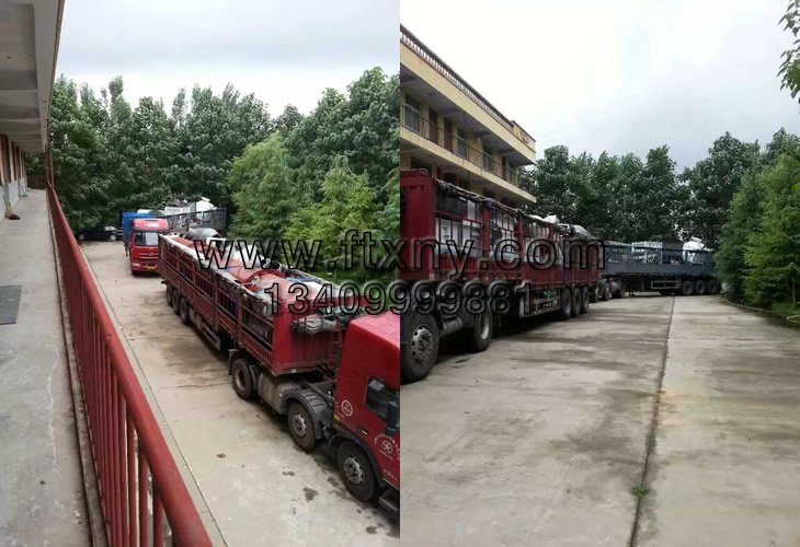 ���ճ���ľм�w���C���a���l(f��)؛�DƬ