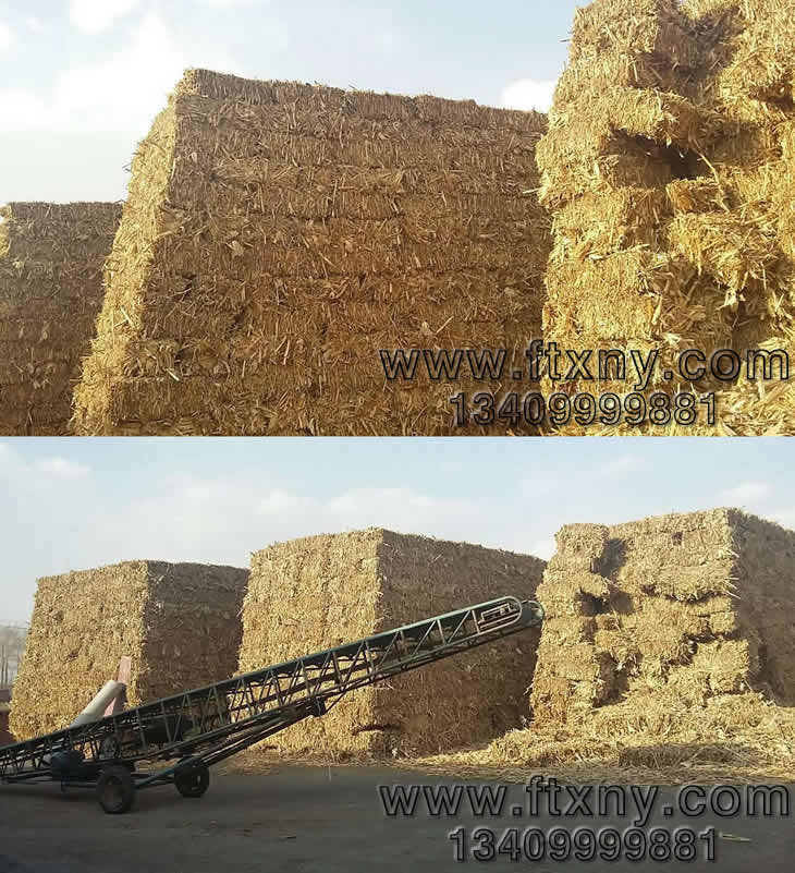 �ն��w���C���a(ch��n)���F(xi��n)��